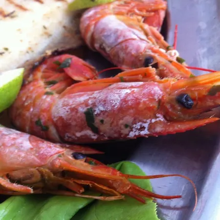 莱蒂齐亚酒店 3* 里米尼